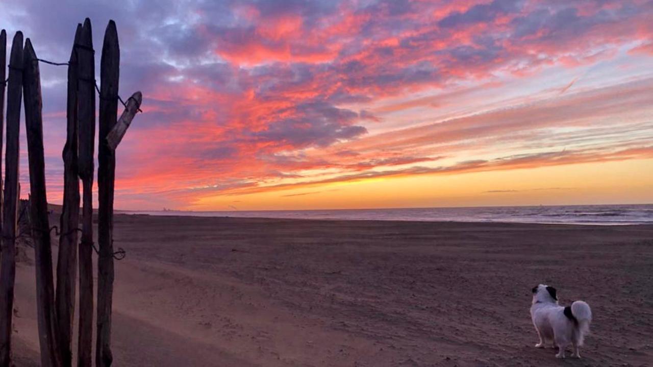 Beach House For You - Luxe Verblijf, 5 Min Van Het Strand Катвейк-ан-Зе Экстерьер фото